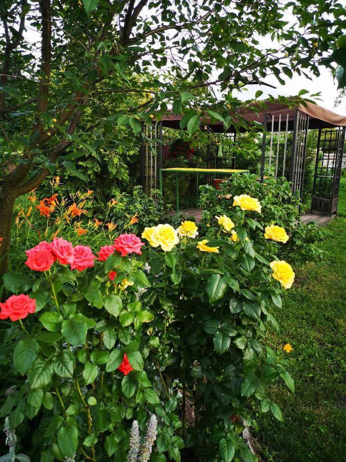 Заміський Будинок Апартамент Fresh Air Vinyntsi Экстерьер фото