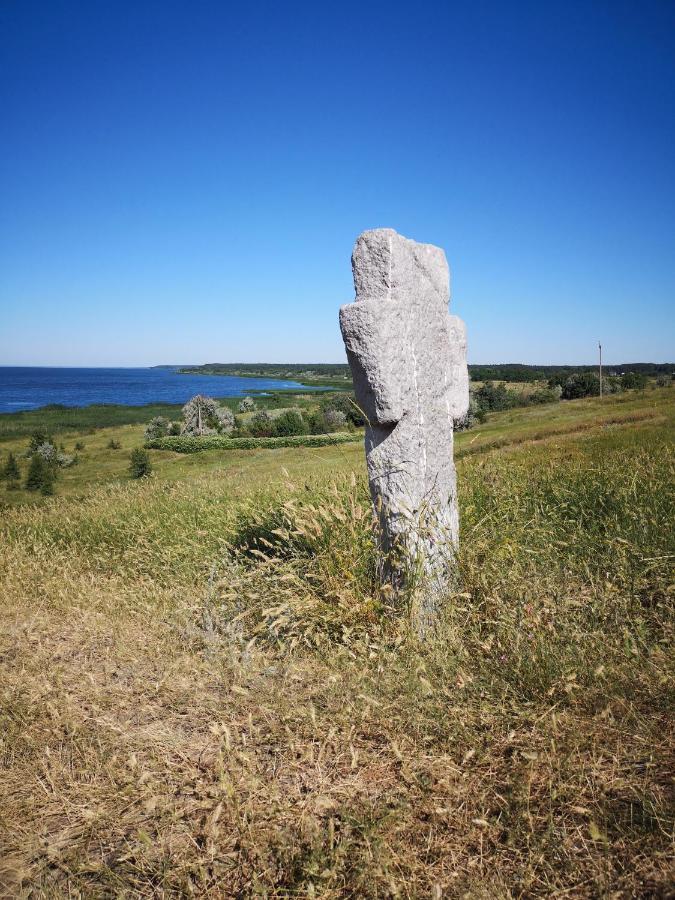 Заміський Будинок Апартамент Fresh Air Vinyntsi Экстерьер фото