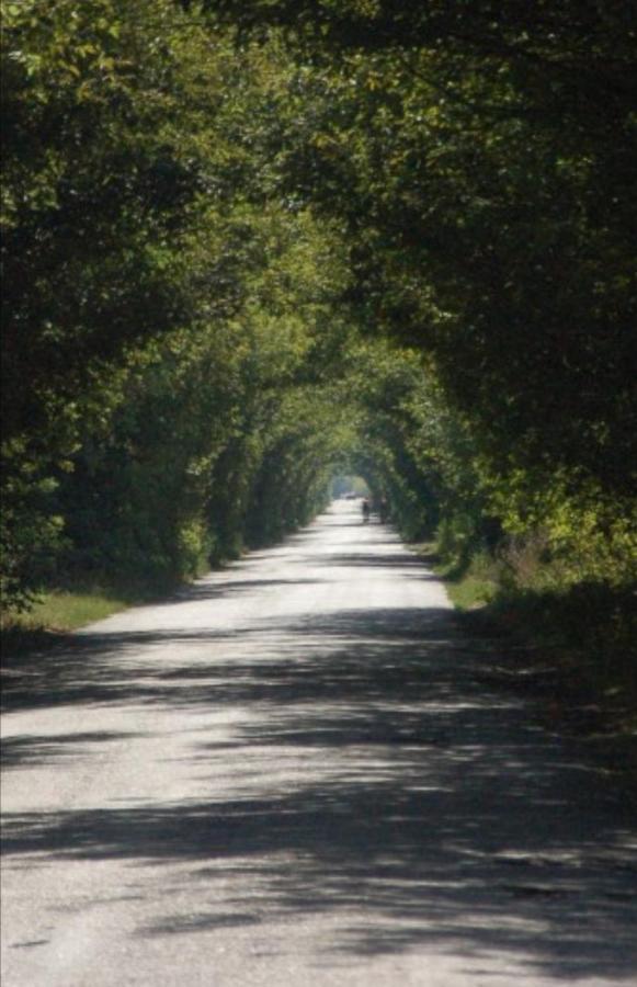 Заміський Будинок Апартамент Fresh Air Vinyntsi Экстерьер фото