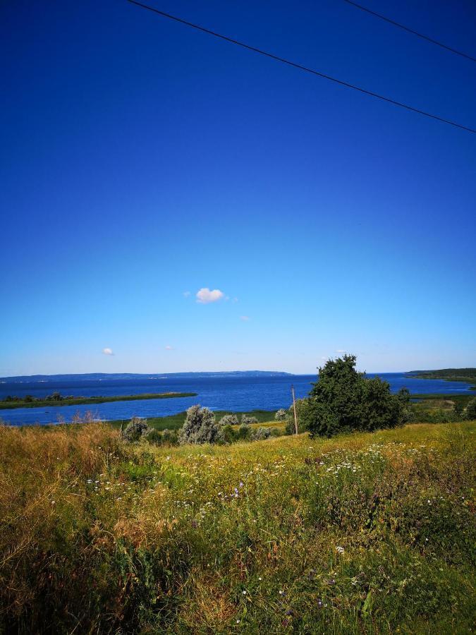Заміський Будинок Апартамент Fresh Air Vinyntsi Экстерьер фото